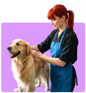 Pet Grooming Software