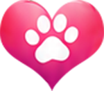PetcareSoft Application for bet business