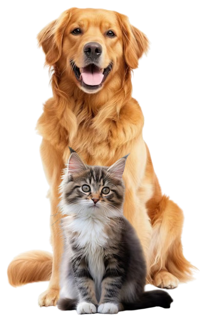 PetCareSoft pets