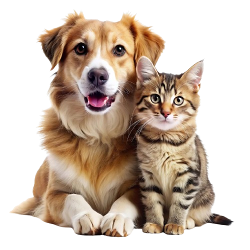 PetCareSoft call to action