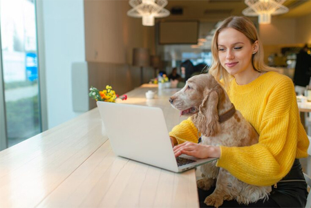 Online booking software